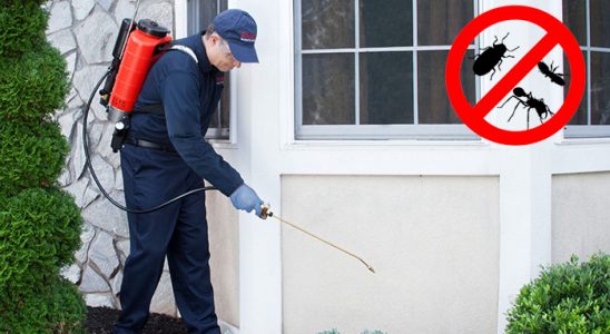 Hatundere Akrep İlaçlama böcek ilaçlama ve haşere kontrolü — ilaclama-tr.com